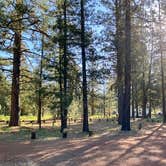 Review photo of Eagle Campground by Alison , June 7, 2021