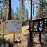 Review photo of Eagle Campground by Alison , June 7, 2021