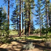 Review photo of Eagle Campground by Alison , June 7, 2021