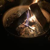 Review photo of Fontainebleau State Park Campground by richard , June 7, 2021
