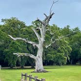 Review photo of Fontainebleau State Park Campground by richard , June 7, 2021