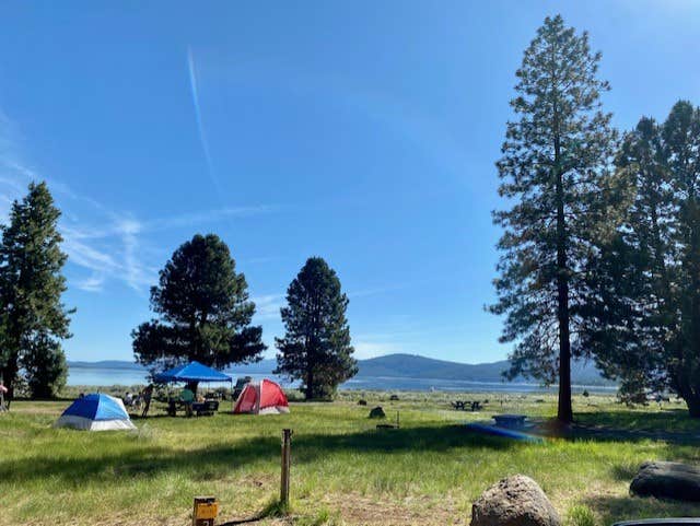 Alison's photo at Merrill Campground near Susanville, CA
