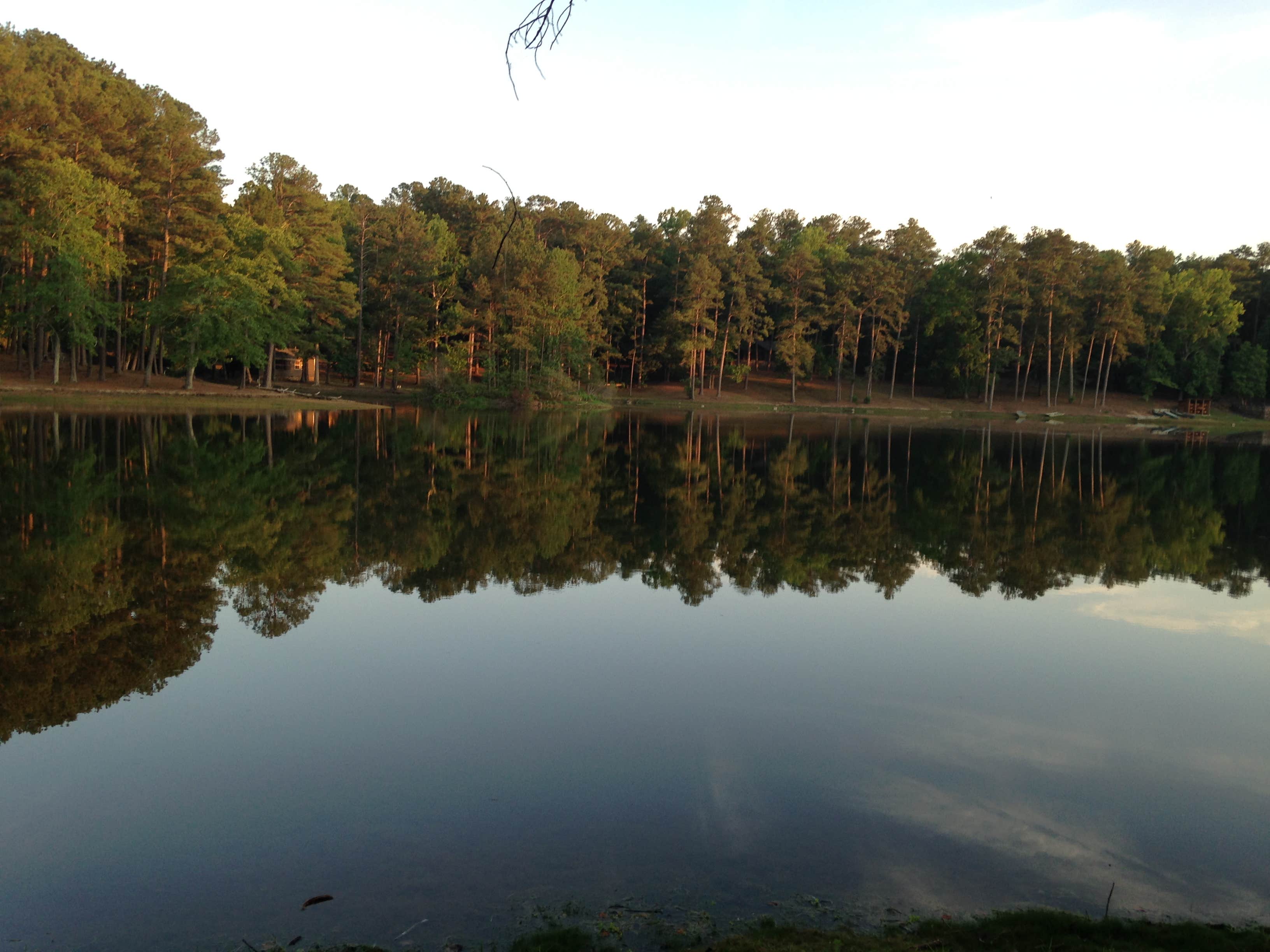 Camper submitted image from Franklin D Roosevelt State Park Campground - 2