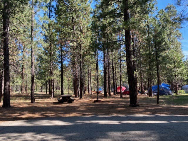 Alison's photo at Christie Campground near Lassen National Forest