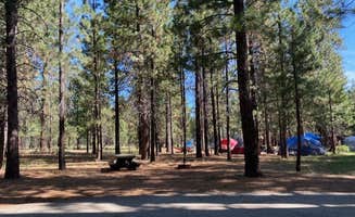 Alison's photo at Christie Campground near Lassen National Forest