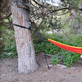Review photo of Baker Creek Campground — Great Basin National Park by Sotnos B., May 28, 2021