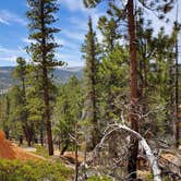 Review photo of Dixie National Forest King Creek Group Site by Sotnos B., May 28, 2021