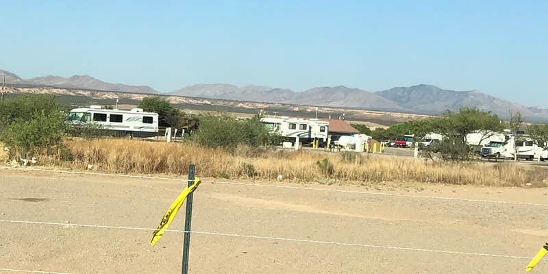 Camper submitted image from Benson I-10 RV Park