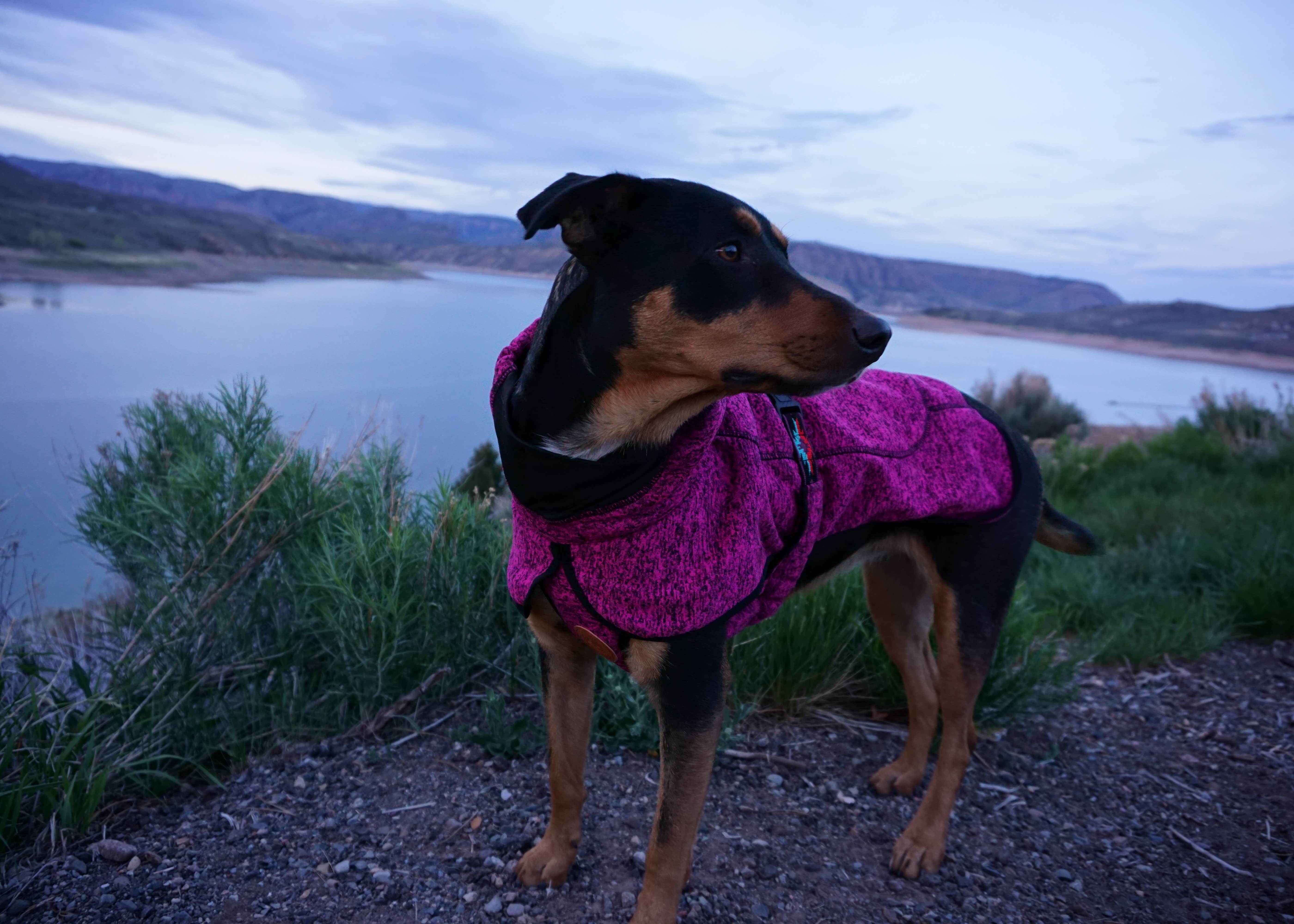 Lake Fork Camping The Dyrt