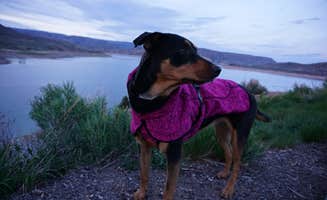 Fabein D.'s photo of camping with pets at Lake Fork near Tierra Amarilla, NM