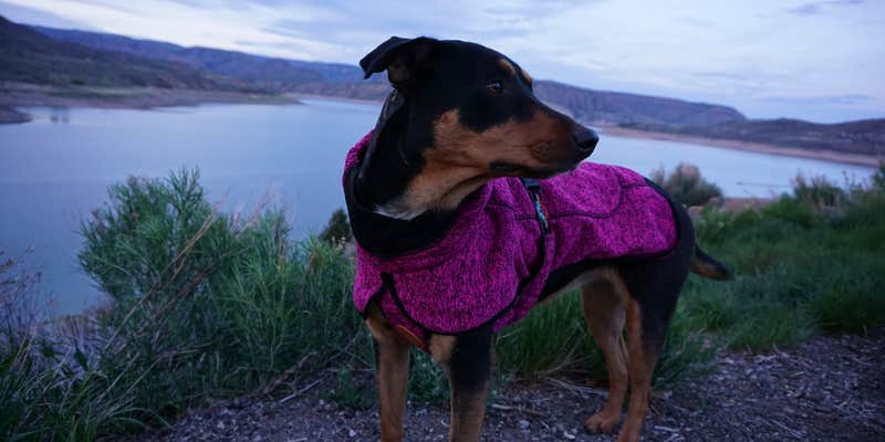 Camper submitted image from Lake Fork