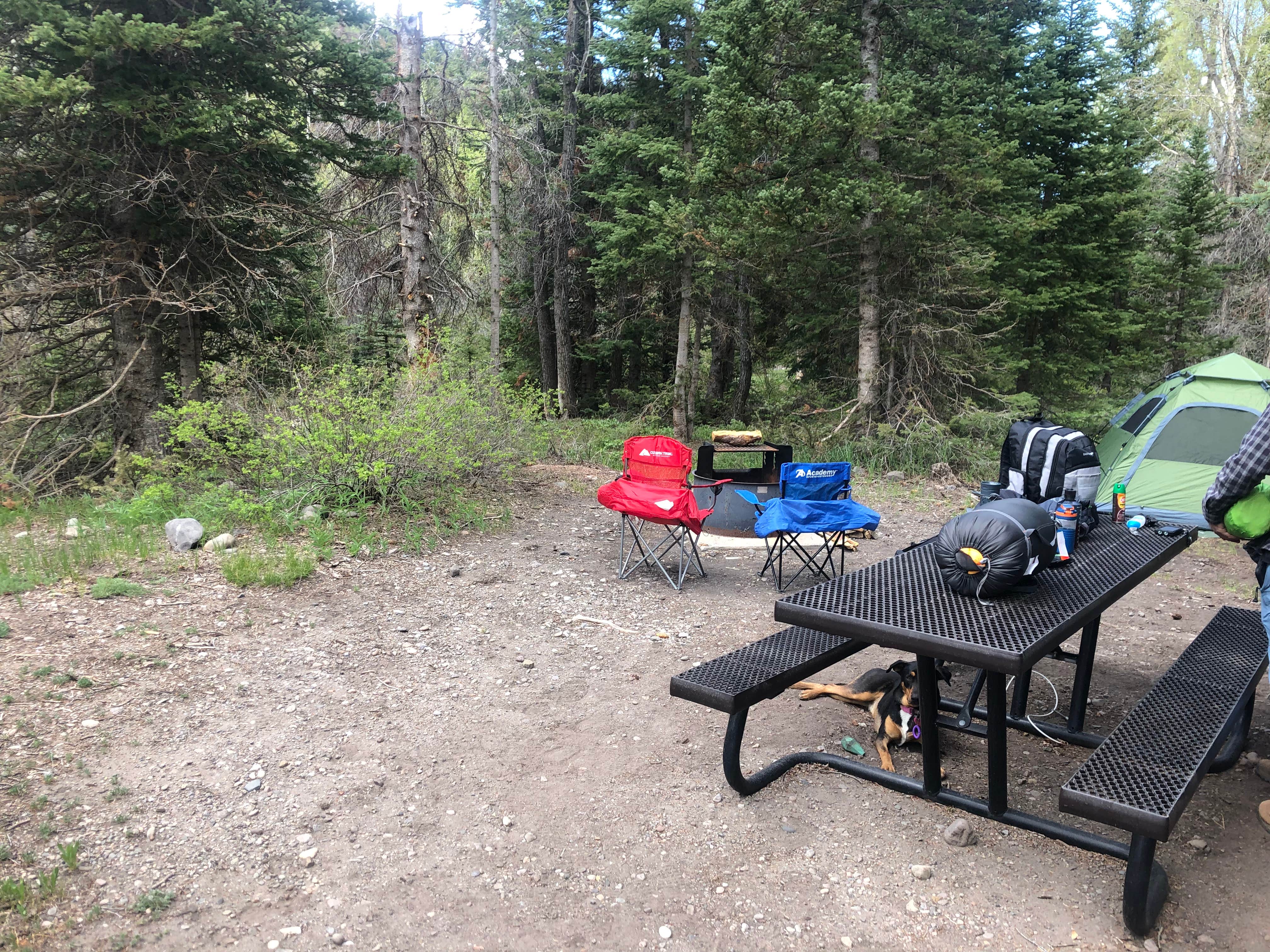 Camper-submitted photo at Big Cimarron near Ridgway, CO