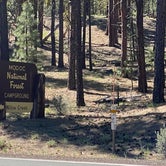 Review photo of Willow Creek Campground by Alison , June 7, 2021