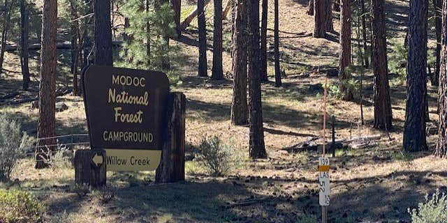 Camper submitted image from Willow Creek Campground