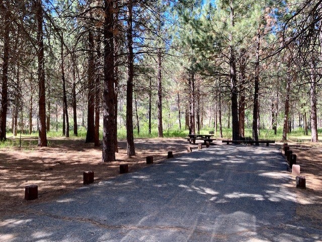 Camper submitted image from Willow Creek Campground - 4