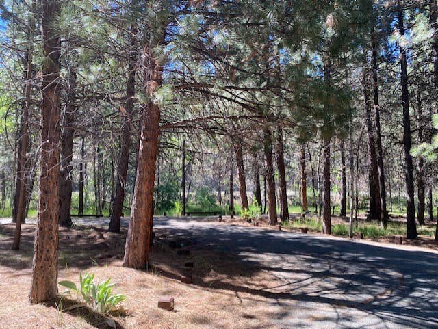 Camper-submitted photo at Willow Creek Campground near Likely, CA