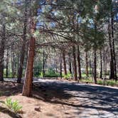 Review photo of Willow Creek Campground by Alison , June 7, 2021