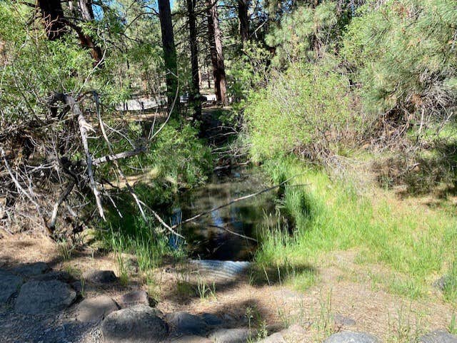 Camper-submitted photo at Willow Creek Campground near Likely, CA