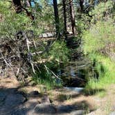 Review photo of Willow Creek Campground by Alison , June 7, 2021