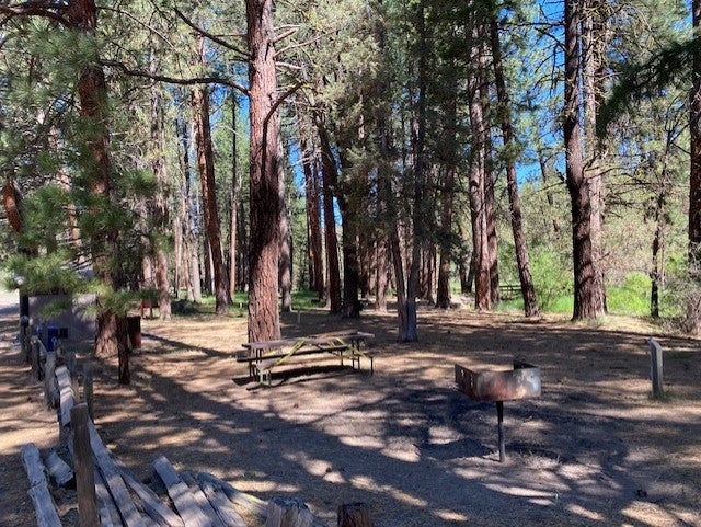 Camper submitted image from Willow Creek Campground - 2