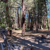 Review photo of Willow Creek Campground by Alison , June 7, 2021