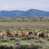 Review photo of Gros Ventre Campground — Grand Teton National Park by Krissy C., June 7, 2021