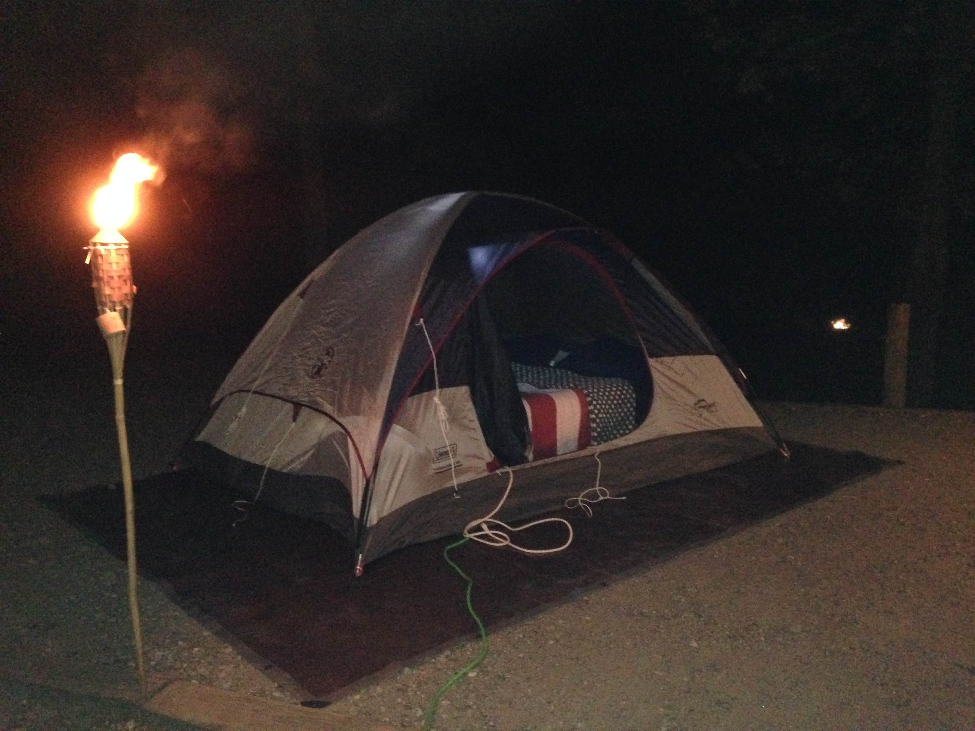 Molly M.'s photo at Franklin D Roosevelt State Park Campground near Wildwood, GA