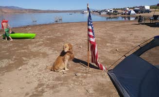 Ben L.'s photo at Bermuda Flat Recreation Site near Tonto National Forest