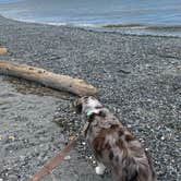 Review photo of Birch Bay State Park Campground by Monte B., June 7, 2021