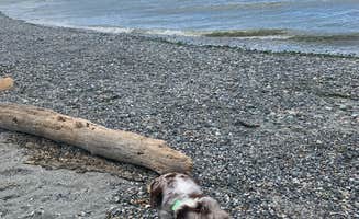 Monte B.'s photo of camping with pets at Birch Bay State Park Campground near Lummi Island, WA