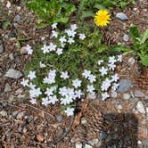 Review photo of Eagle Creek Campground by Krissy C., June 7, 2021