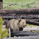 Review photo of Eagle Creek Campground by Krissy C., June 7, 2021