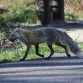 Review photo of Eagle Creek Campground by Krissy C., June 7, 2021