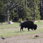 Review photo of Eagle Creek Campground by Krissy C., June 7, 2021