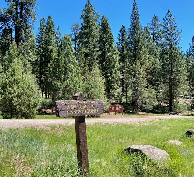 Camping near Cal Pines: Ash Creek, Likely, California