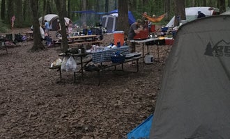 Camping near Northern Lights Campground — Devils Lake State Park: Devils Lake State Park Group Campground — Devils Lake State Park, Baraboo, Wisconsin