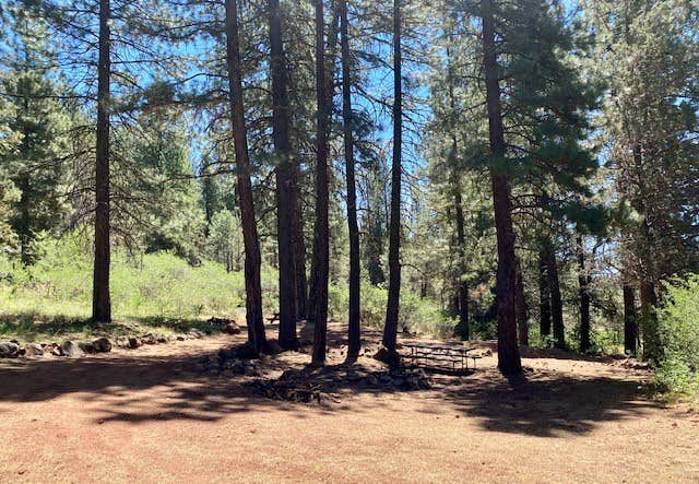 Camper-submitted photo at Ash Creek near Likely, CA