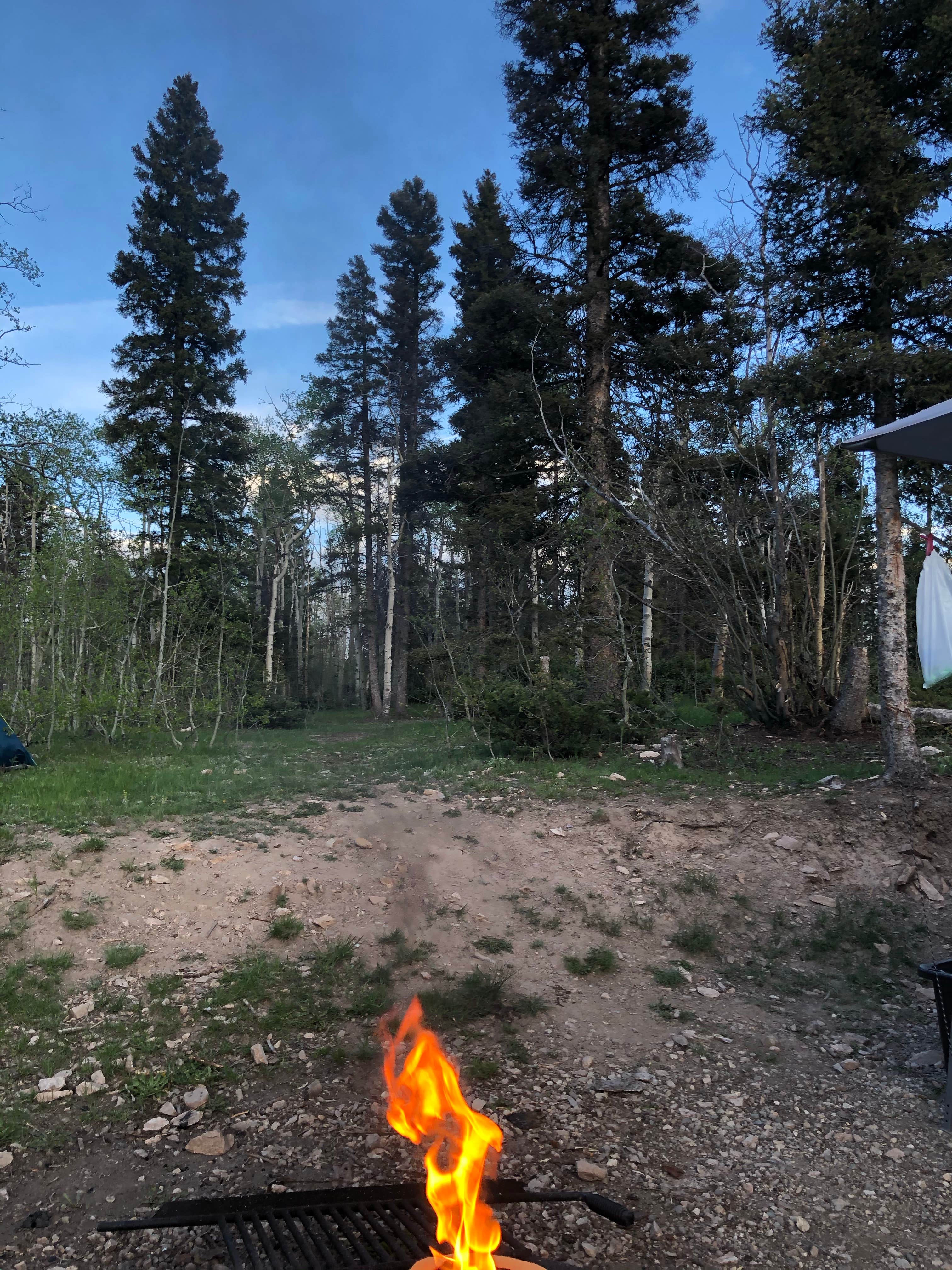 Karen  N.'s photo at Hopewell Lake Campground near Antonito, CO