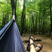 Review photo of Eno River State Park Campground by KB H., June 7, 2021