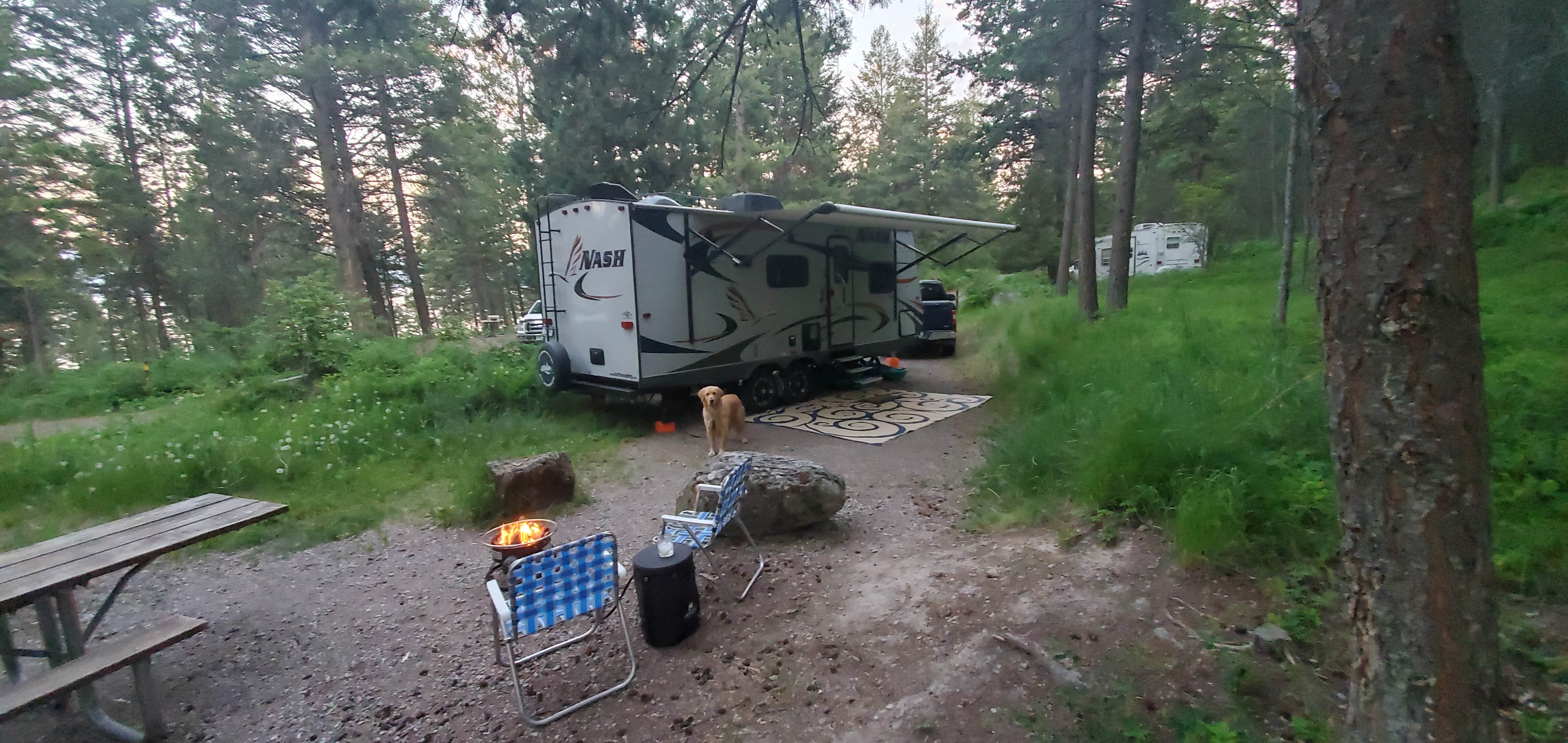 Chris D.'s photo of camping with pets at West Shore Unit — Flathead Lake State Park near Dayton, MT