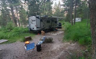 Chris D.'s photo of camping with pets at West Shore Unit — Flathead Lake State Park near Flathead National Forest