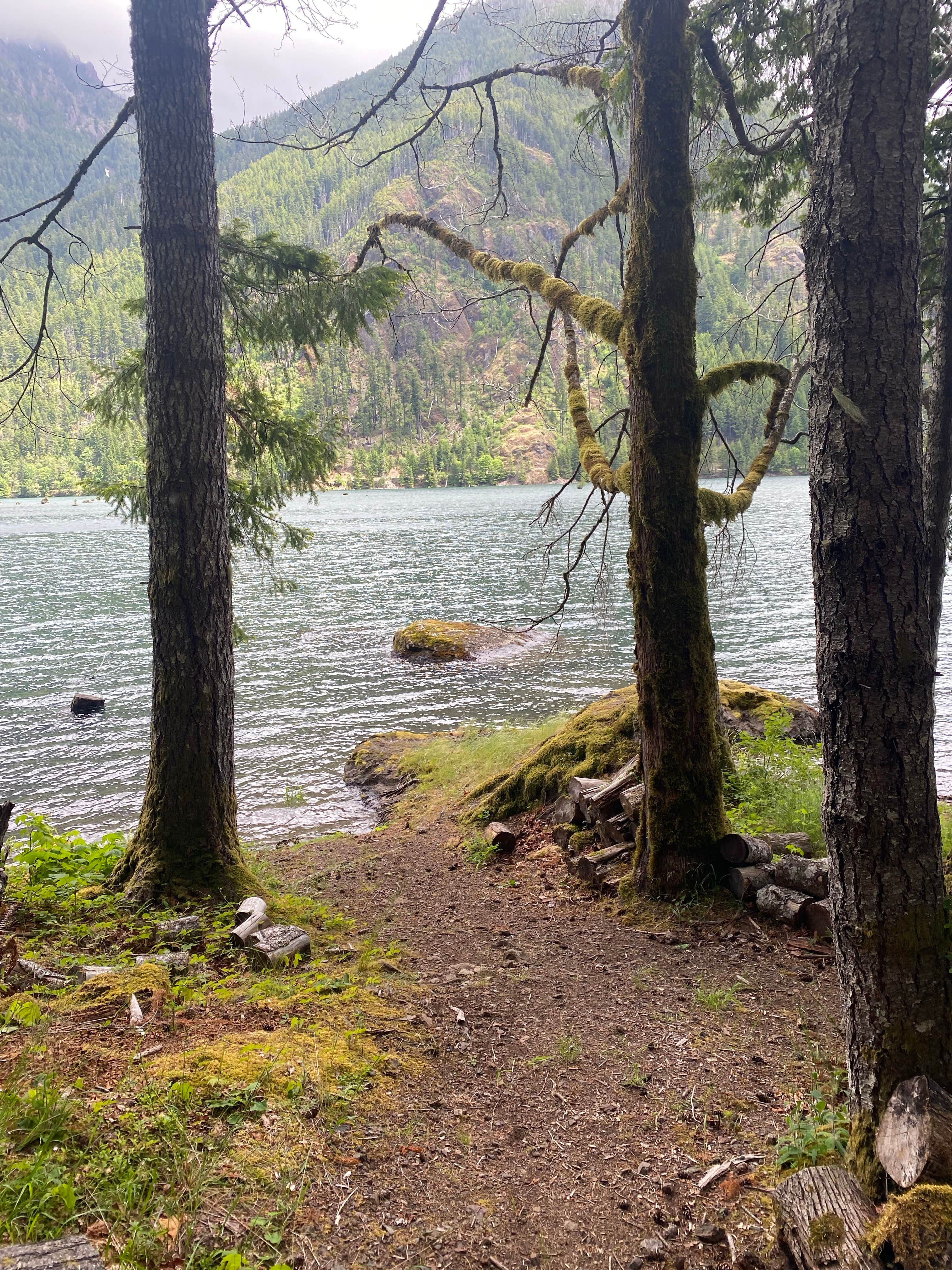 Camper-submitted photo at Rest-A-While RV Park near Belfair, WA