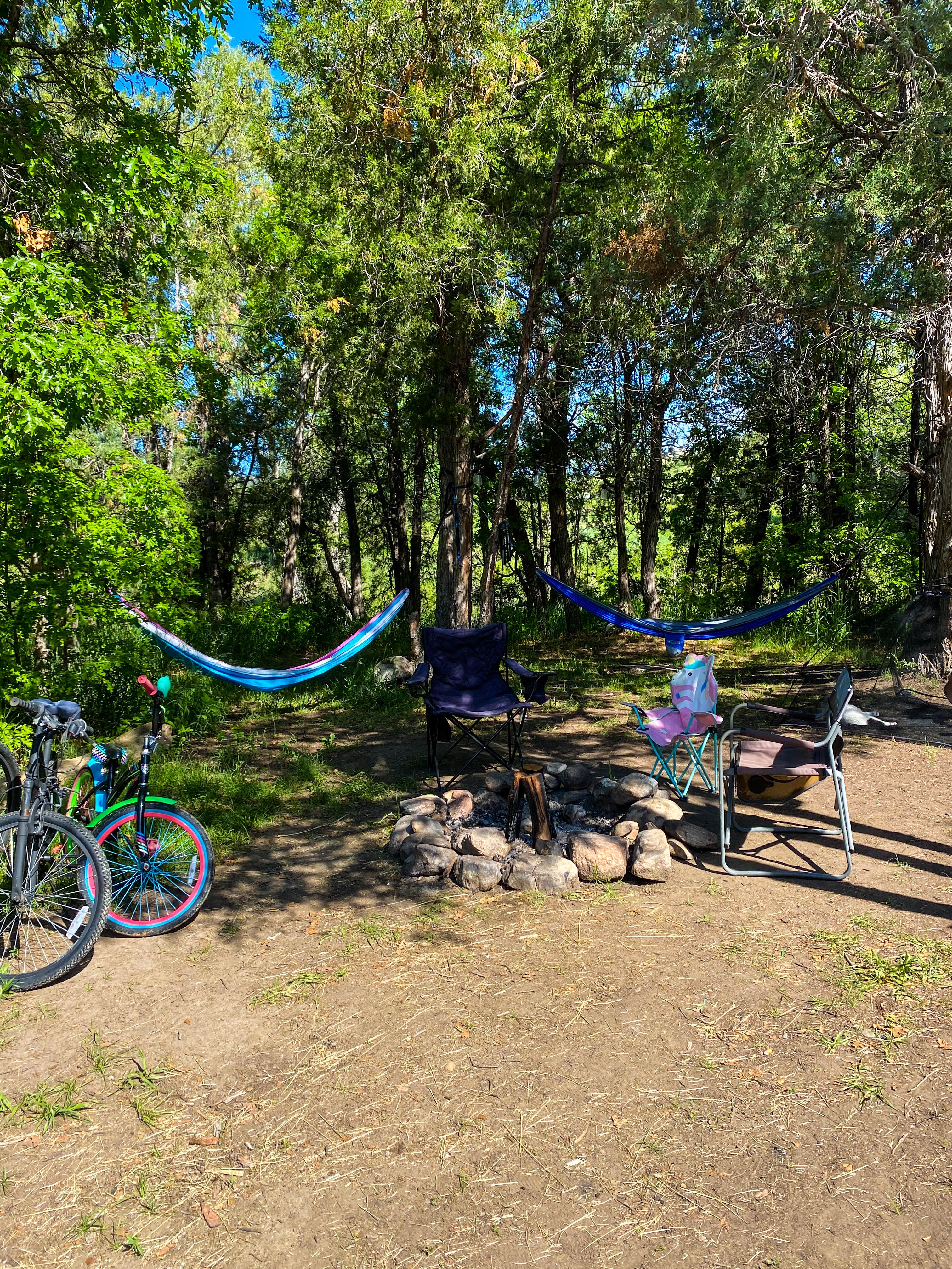 Camper submitted image from Greenhorn Meadows Park - 4