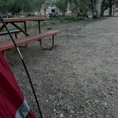 Review photo of South Campground — Zion National Park by Emily C., June 7, 2021