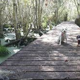 Review photo of Goose Creek State Park Campground by Katrin M., June 7, 2018