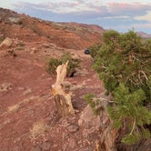 Review photo of Capitol Reef National Park Dispersed Camping by Cyndee F., June 7, 2021