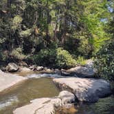 Review photo of Swallow Falls State Park Campground by Don L., June 7, 2021