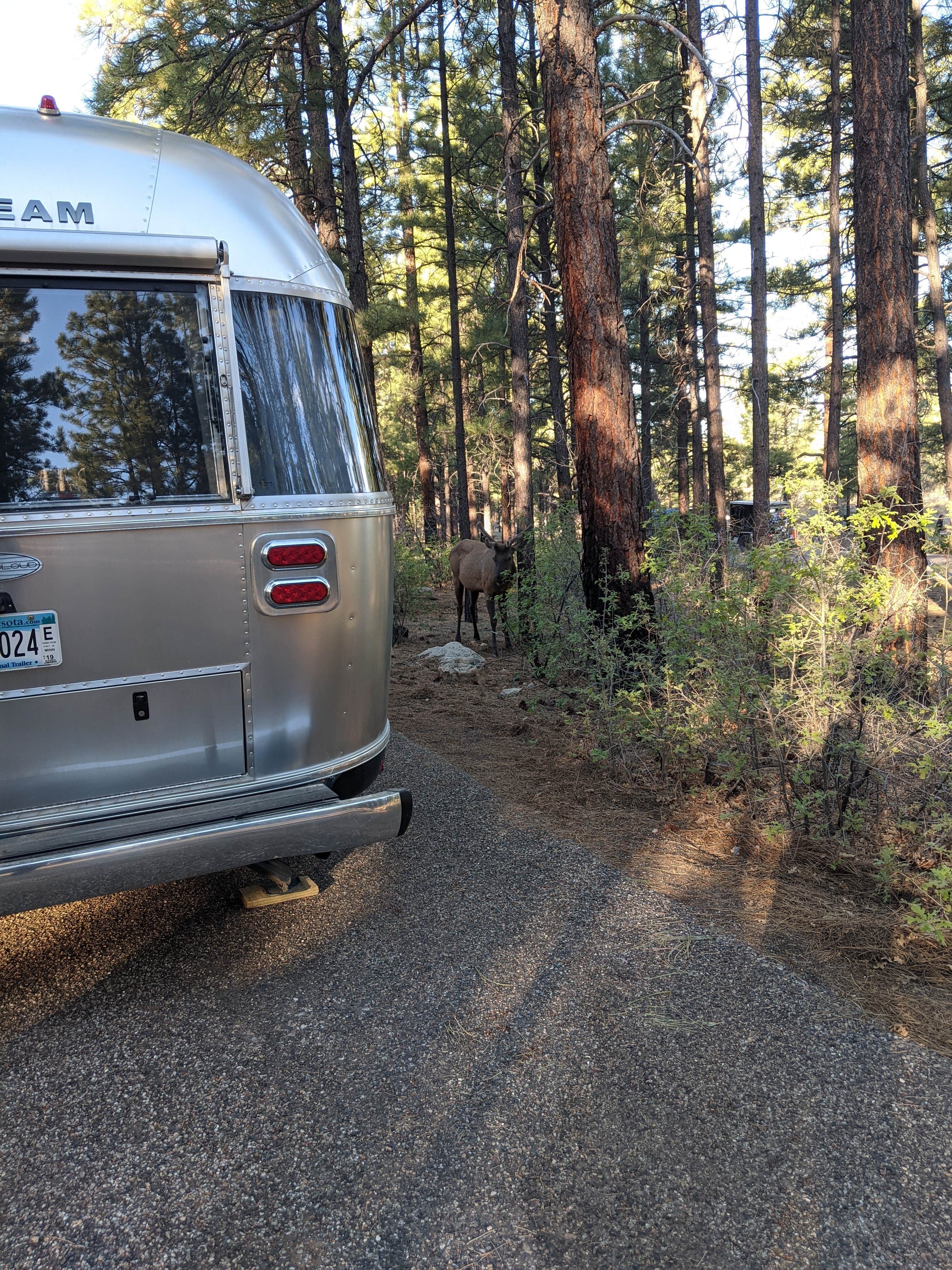 Janice R.'s photo of rv camping at Tusayan-Montane — Grand Canyon National Park near Supai, AZ