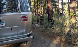Janice R.'s photo of rv camping at Tusayan-Montane — Grand Canyon National Park near Grand Canyon National Park