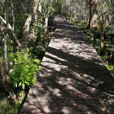 Review photo of Goose Creek State Park Campground by Katrin M., June 7, 2018